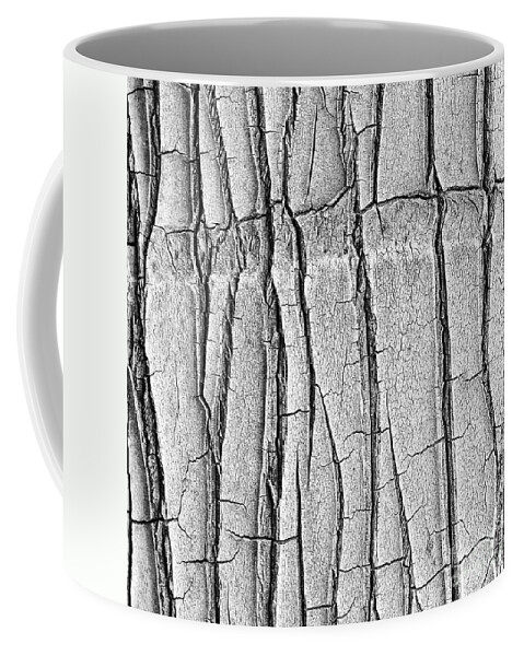 Abstract Coffee Mug featuring the photograph Cracked Trunk by Paul Topp