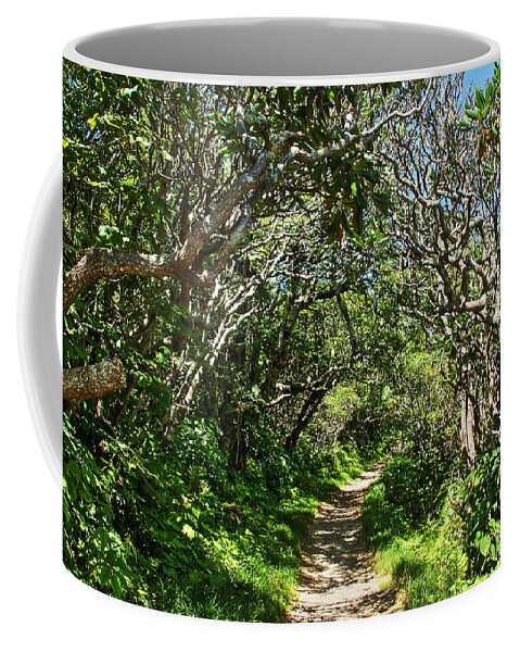 Blue Ridge Parkway Coffee Mug featuring the photograph Craggy Gardens Walkway by Allen Nice-Webb
