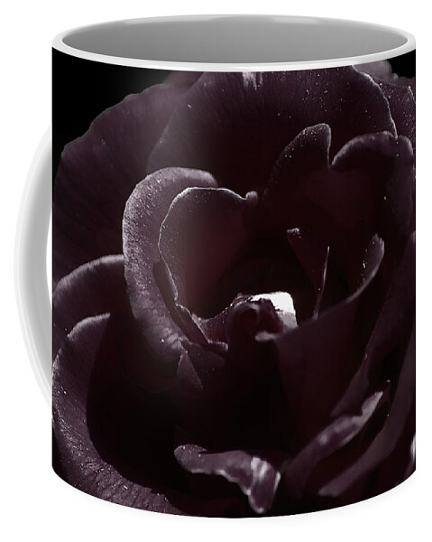Clay Coffee Mug featuring the photograph Cranberry Rose by Clayton Bruster