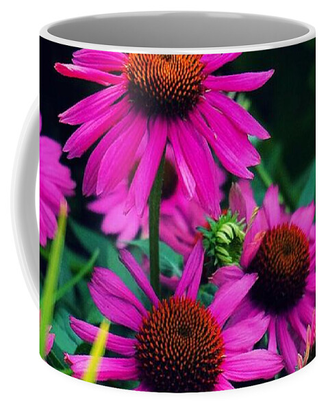  Coffee Mug featuring the photograph Crazy for Coneflowers by Kendall McKernon