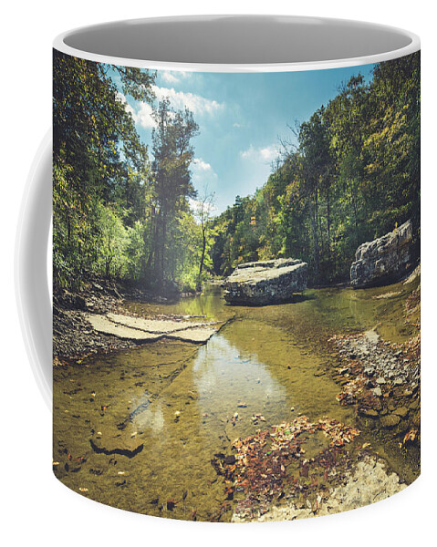 Arkansas Coffee Mug featuring the photograph Creek 2 by Mati Krimerman