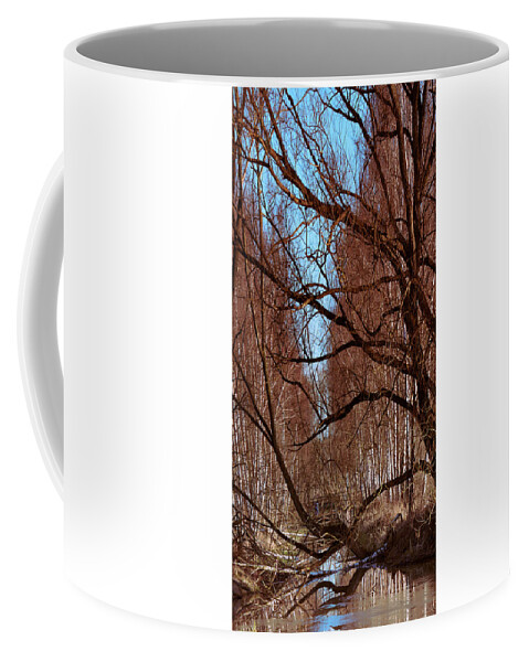  Coffee Mug featuring the photograph Creek #f5 by Leif Sohlman