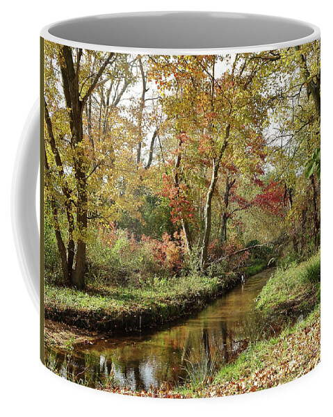 Landscape Coffee Mug featuring the photograph Creek in the woods by Mikki Cucuzzo