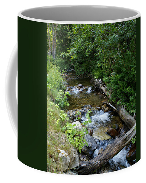 Nature Coffee Mug featuring the photograph Creek on Mt. Spokane 1 by Ben Upham III