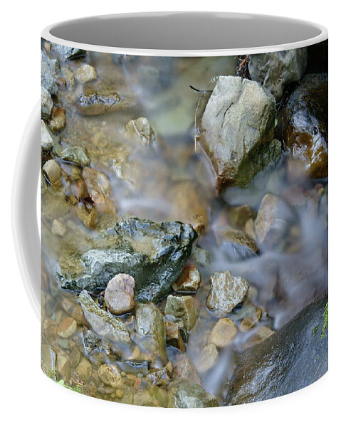 Mount Tamalpais Coffee Mug featuring the photograph Creek on Mt Tamalpais by Ben Upham III