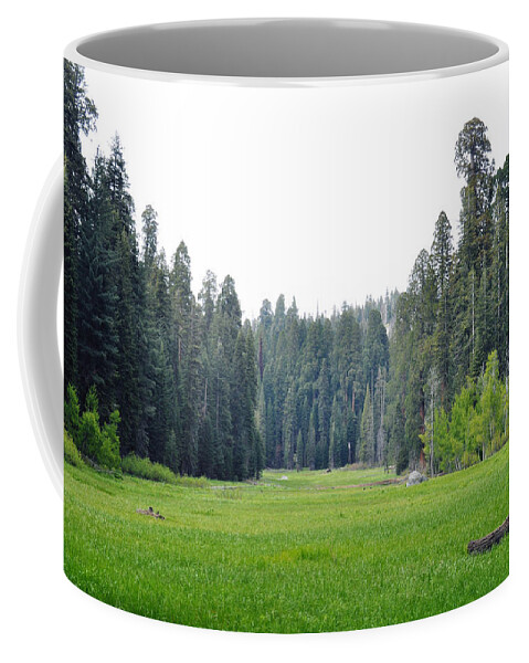 Sequoia National Park Coffee Mug featuring the photograph Crescent Meadow by Kyle Hanson