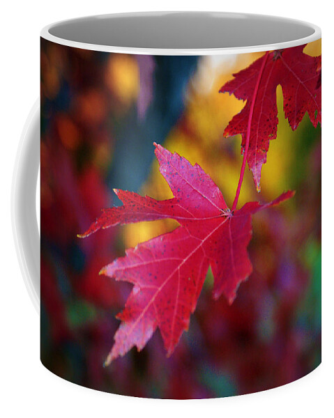 Red Coffee Mug featuring the photograph Crimson Close Up by Cricket Hackmann