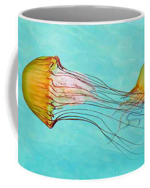 Jelly Fish Coffee Mug featuring the photograph Criss Cross by Derek Dean