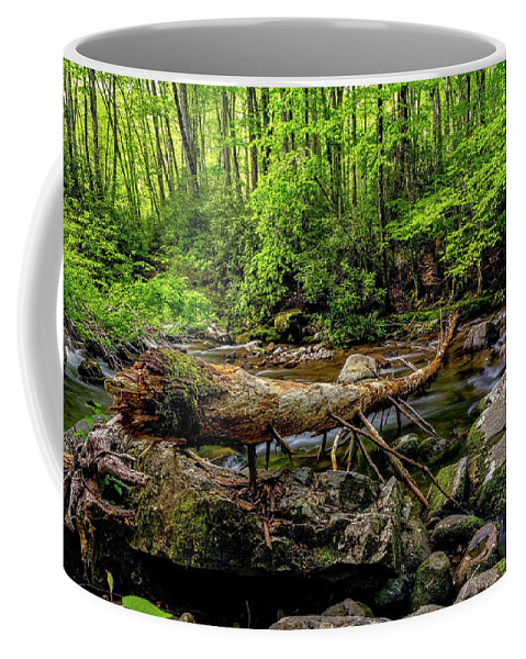 Stream Coffee Mug featuring the photograph Crossing The Stream by Christopher Holmes