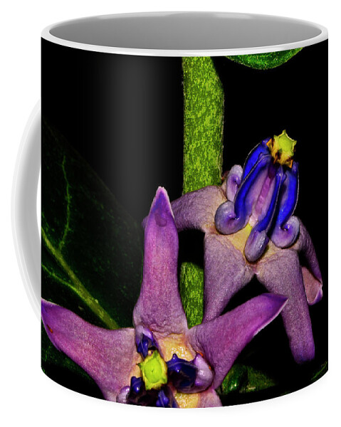 Flower Coffee Mug featuring the photograph Crown Flower 001 by George Bostian