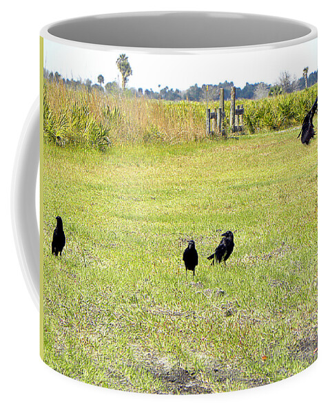 American Crow Coffee Mug featuring the photograph Crows by Christopher Mercer