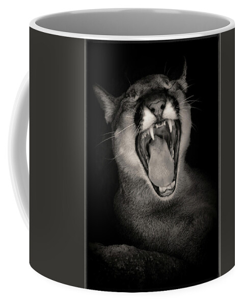 Mountain Lions Coffee Mug featuring the photograph Cruz Yawning by Elaine Malott