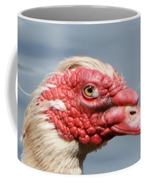 Geese Coffee Mug featuring the photograph Crying Goose by Dani McEvoy