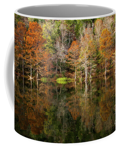 Cypress Trees Coffee Mug featuring the photograph Crystal Clear by Iris Greenwell