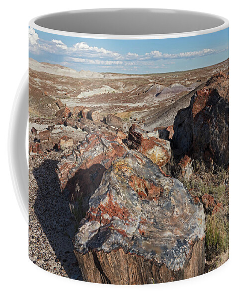 Tom Daniel Coffee Mug featuring the photograph Crystal Forest Stump by Tom Daniel