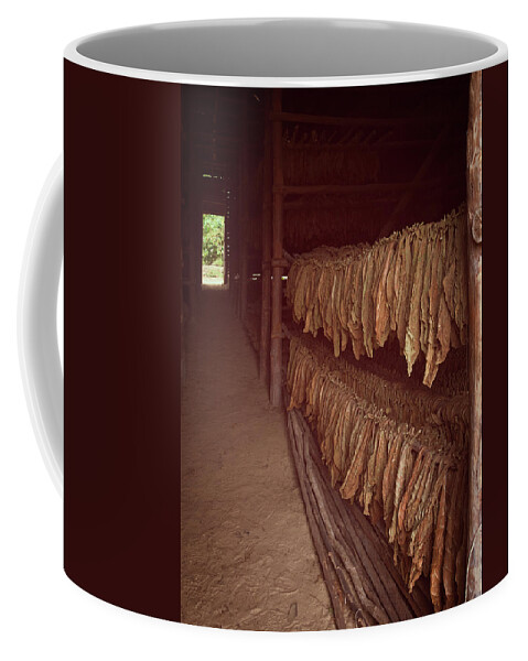 Joan Carroll Coffee Mug featuring the photograph Cuban Tobacco Shed by Joan Carroll