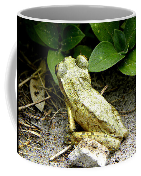 Cuban Tree Frog Coffee Mug featuring the photograph Cuban Tree Frog 002 by Christopher Mercer