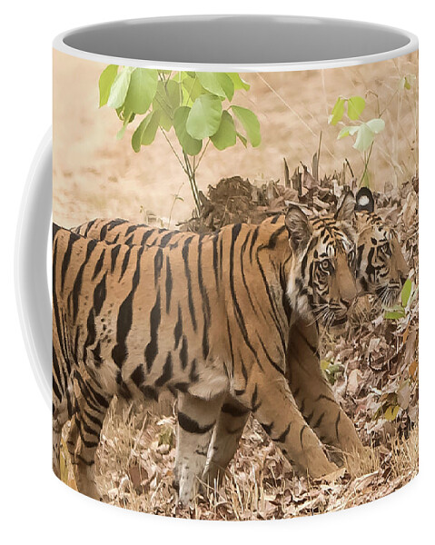 Tiger Coffee Mug featuring the photograph Cubs on the march by Pravine Chester