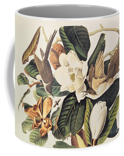 Audubon Coffee Mug featuring the drawing Cuckoo on Magnolia Grandiflora by John James Audubon