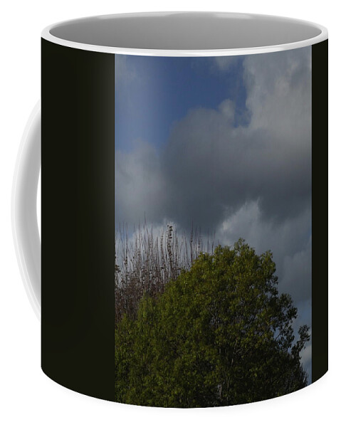  Coffee Mug featuring the photograph Cumulus 14 and Trees by Richard Thomas