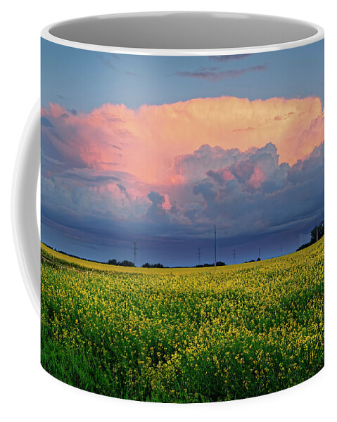 Summer Coffee Mug featuring the photograph Cumulus and Canola by Dan Jurak
