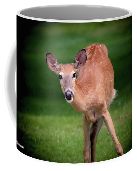 Deer Coffee Mug featuring the photograph Curiosity by Veronica Batterson