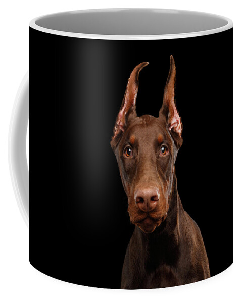 Doberman Coffee Mug featuring the photograph Curious Doberman by Sergey Taran