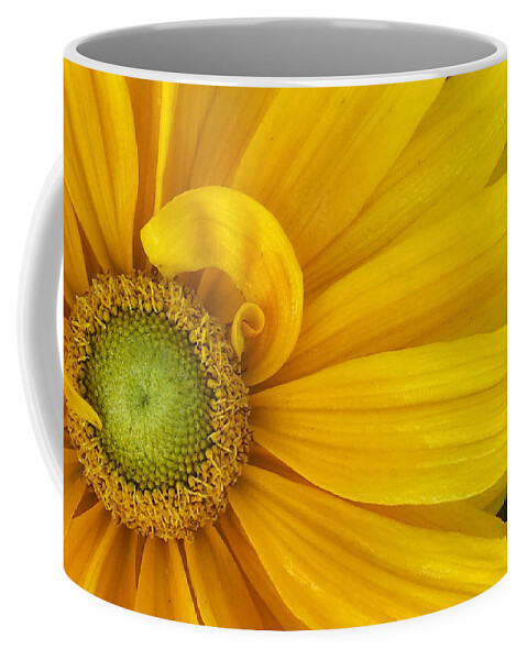 Black Eyed Susan Coffee Mug featuring the photograph curly Q by Amy Steeples