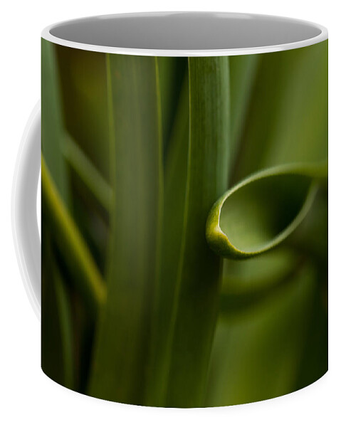 Curves Of Nature Coffee Mug featuring the photograph Curves Of Nature by Karol Livote