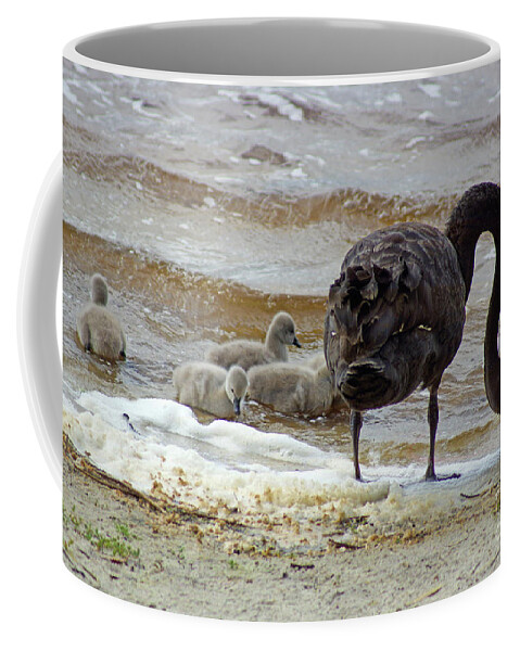 Family Coffee Mug featuring the photograph Cygnus atratus IV by Cassandra Buckley