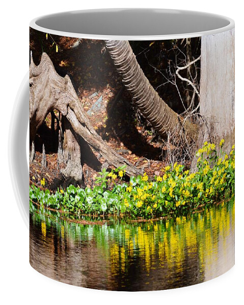 Cypress And Flower Reflections Coffee Mug featuring the photograph Cypress and Flower Reflections by Warren Thompson