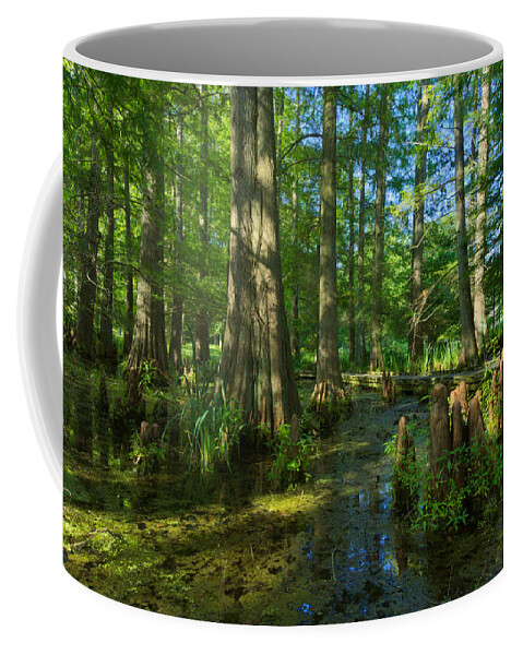 Tree Coffee Mug featuring the photograph Cypress Knees by Amanda Jones