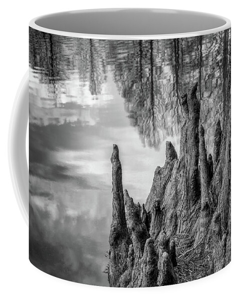 Black And White Coffee Mug featuring the photograph Cypress Knees in bw by James Barber