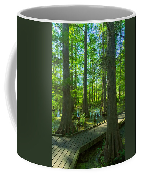 Tree Coffee Mug featuring the photograph Cypress Swamp by Amanda Jones