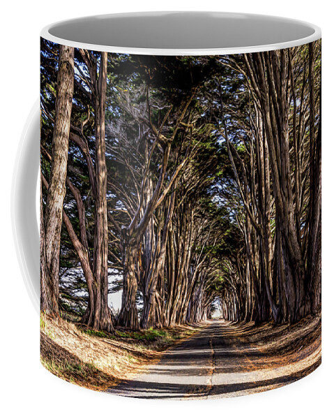 Art Deco Coffee Mug featuring the photograph Cypress Tunnel by Paul LeSage