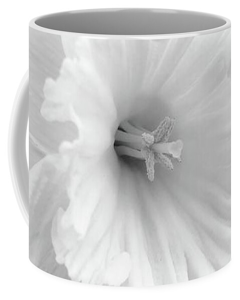 Daffodil Coffee Mug featuring the photograph Daffodil 2018 by Jon Munson II