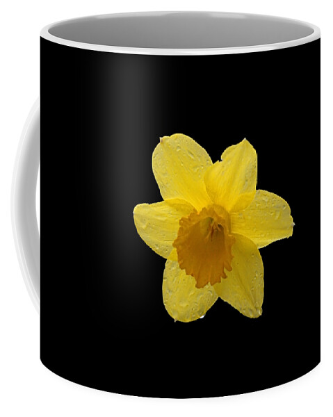 Spring Coffee Mug featuring the photograph Daffodil by Newwwman