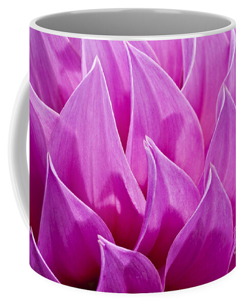 Abstract Coffee Mug featuring the photograph Dahlia Close-up II by Bill Brennan - Printscapes