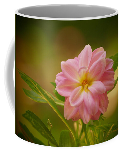  Coffee Mug featuring the photograph Dahlia On A Warm Summer's Afternoon by Dorothy Lee