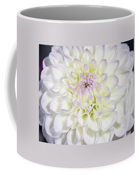 Dahlia Coffee Mug featuring the photograph Dahlia petals by Sergei Dolgov