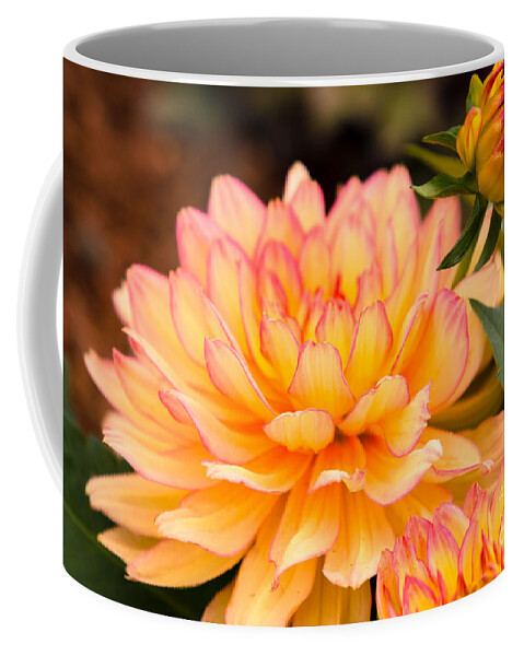 Flower Coffee Mug featuring the photograph Dahlias in the Garden by Ana V Ramirez