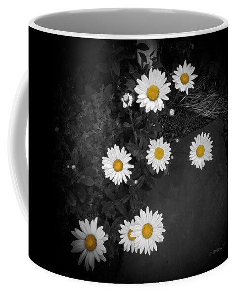 2d Coffee Mug featuring the photograph Daisies - Color Select by Brian Wallace