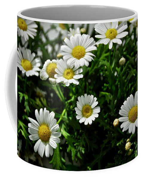 Daisy Coffee Mug featuring the photograph Daisies by Cornelia DeDona