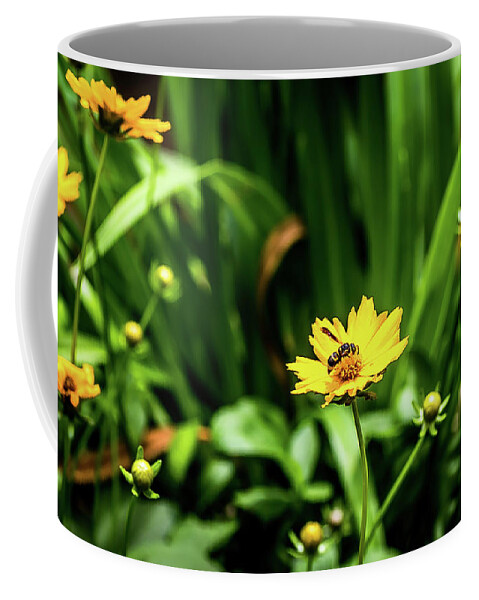 Flower Coffee Mug featuring the digital art Daisies, Daisies, Daisies by Ed Stines
