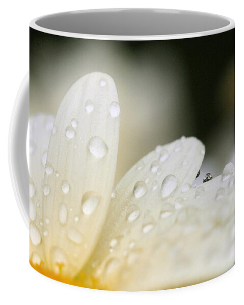 Daisy Coffee Mug featuring the photograph Daisies in a Droplet by Angela Rath