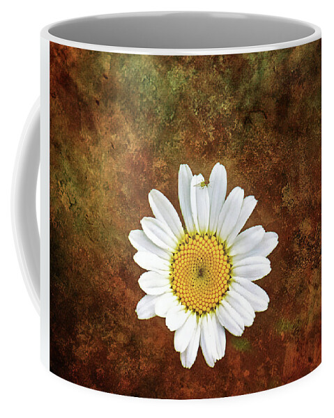 Daisy Flower Photography Coffee Mug featuring the photograph Daisy Bug Photo Bomb Wall Art by Gwen Gibson