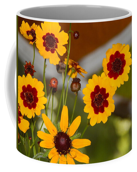 Flower Flora Still-life Gardening Arrangements Yellow Brownish- Red Stain Glass Window Background Daisy Buds Bloom Green Leaves Orange And Green Stained Glass Nature Floral Photography By Jan Gelders Floral Decor Interior Design Accent Coffee Mug featuring the photograph Daisy Delights by Jan Gelders