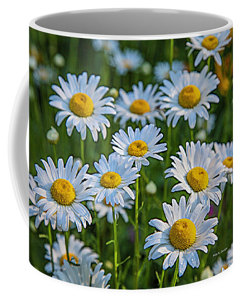 Daisy Coffee Mug featuring the photograph Daisy Dew by Dale R Carlson