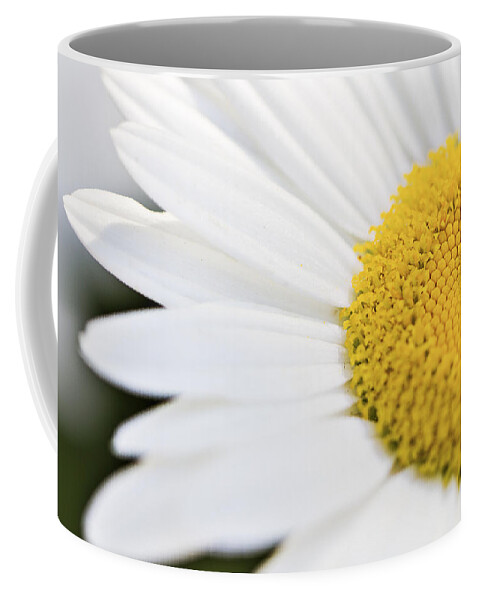 Daisy Coffee Mug featuring the photograph Daisy by Marlo Horne