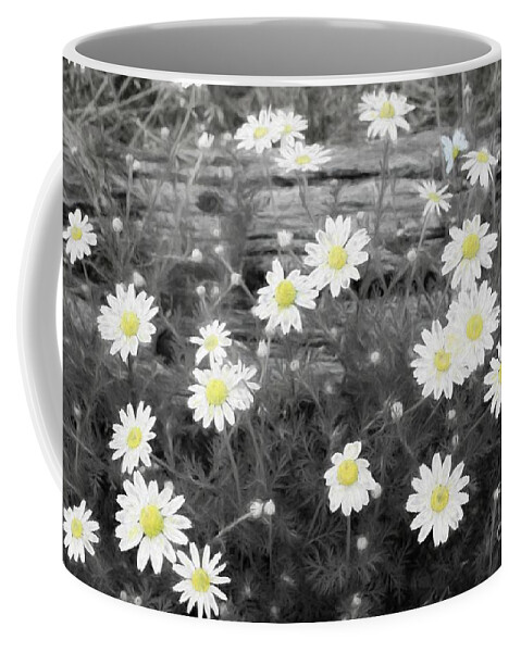 Daisy Coffee Mug featuring the photograph Daisy Patch by Benanne Stiens